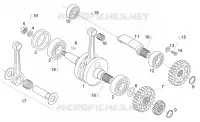 Albero motore - Contralbero