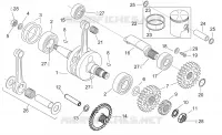 Albero motore - Contralbero