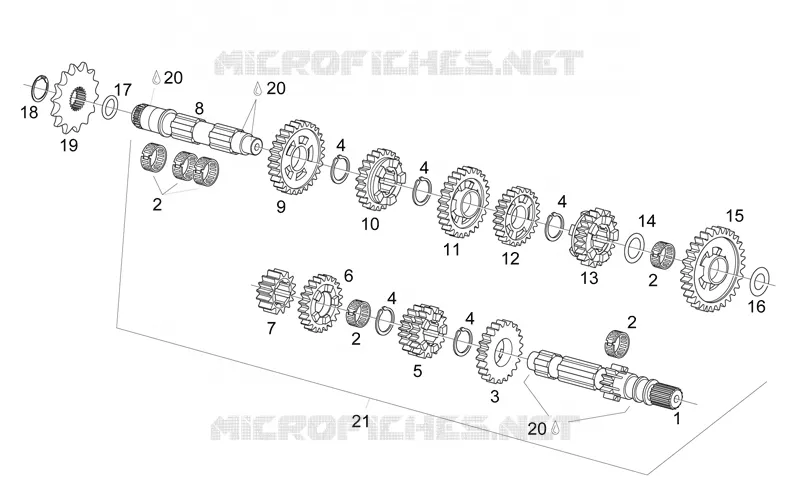 Trasmissione