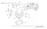 Corpo farfallato (Ditech)