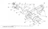 Coperchio trasmissione (Carburatore)
