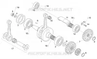 Albero motore - Contralbero