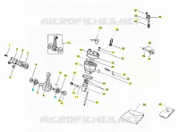 Albero motore - cilindro
