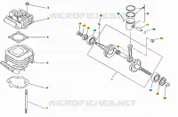 Albero motore - cilindro