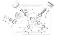 Albero motore