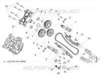 DISTRIBUZIONE CILINDRO ANTERIORE