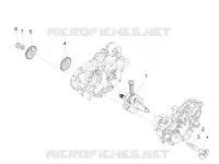 ALBERO MOTORE
