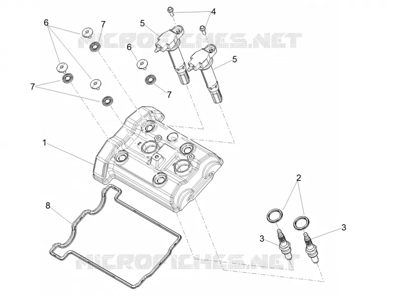 Coperchio testa