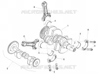 ALBERO MOTORE