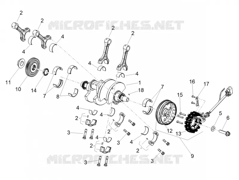 ALBERO MOTORE