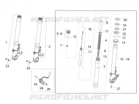 Forcella anteriore Sachs
