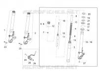 Forcella anteriore Sachs