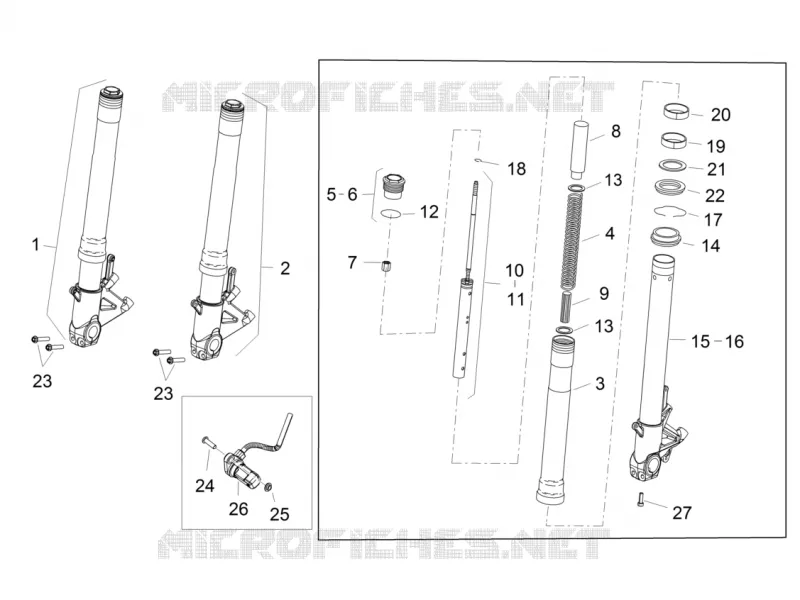 Forcella anteriore Sachs