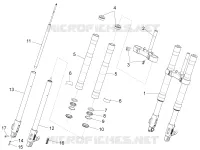 Forcella anteriore Paioli
