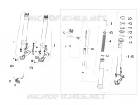 Forcella anteriore Sachs