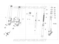 Forcella anteriore Sachs