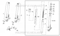 Forcella anteriore Sachs