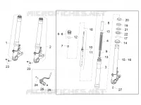 Forcella anteriore Sachs