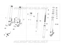 Forcella anteriore Sachs
