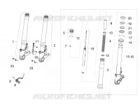 Forcella anteriore Sachs