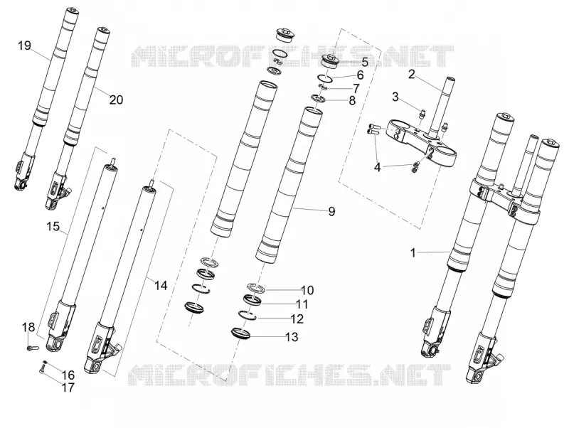 FORCELLA ANTERIORE MING XING