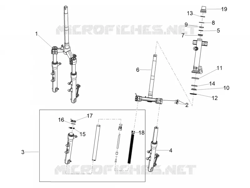 Forcella