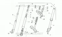 Forcella anteriore N/P