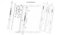 Forcella ant. I