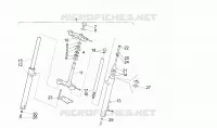 Forcella anteriore N