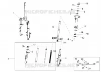 Forcella/tubo sterzo - Gruppo ralle