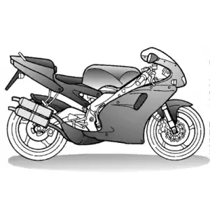 RS 250